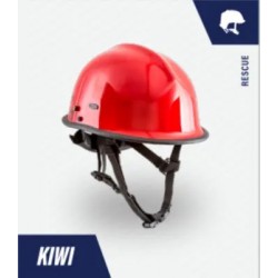 Kiwi Helmet